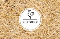 CarteVisiteK recto - copie