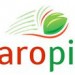 maropice-logo