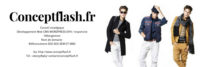 logoConceptflash
